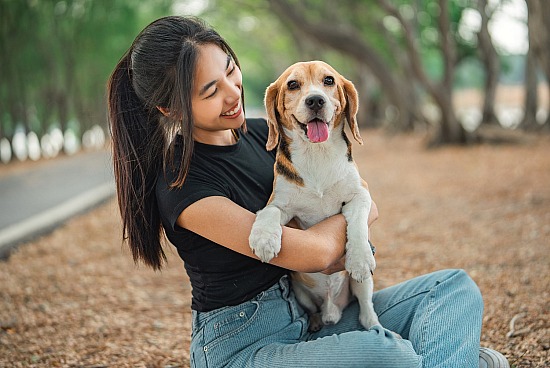 PHOTOS IN THE PARK WITH PETS